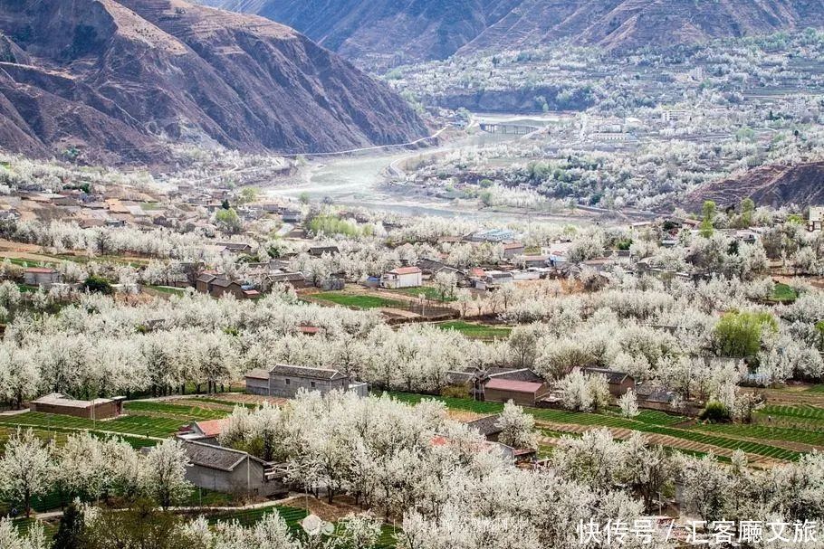 淋一场烟雨，遇一场花事，9个三月花海刷屏的地方