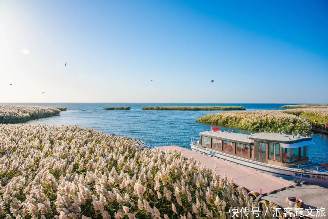 樟子松|这个夏天，我劝你一定要去一次内蒙古 ！