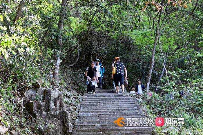 禾雀花|夏日登游银瓶山 畅享大自然“森”呼吸