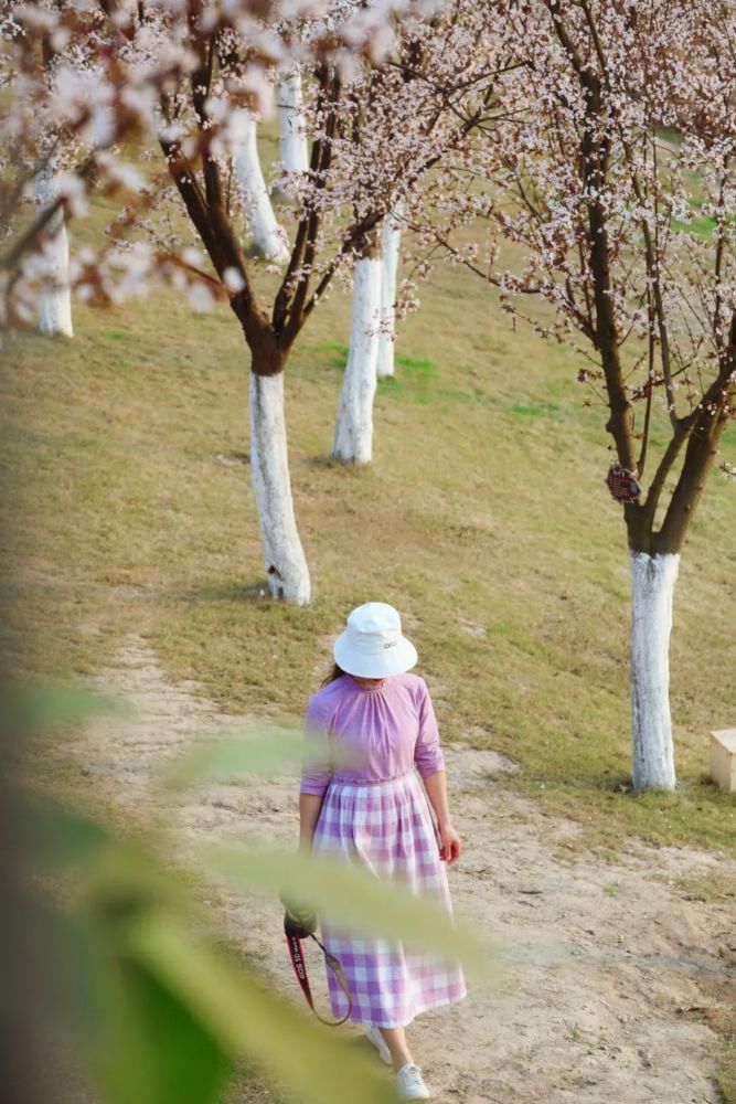 漫步春光里 遂宁 · 时光花境 春色如许