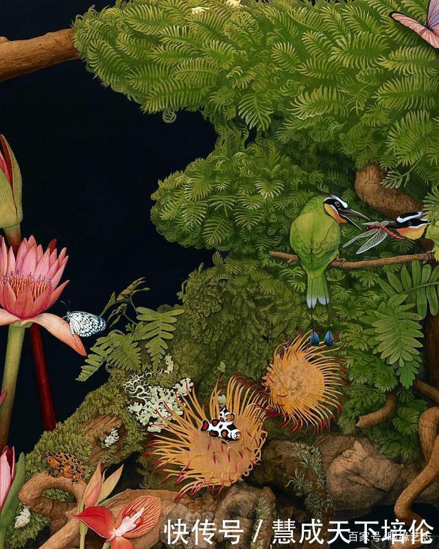 感恩|博齐奇的自然幻境异想天开的科学艺术,感恩生命的生物美学