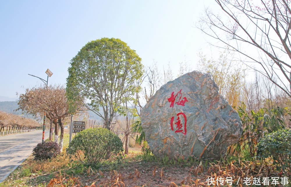 赏景啦！新年添喜色，西昌湿地公园梅花绽放