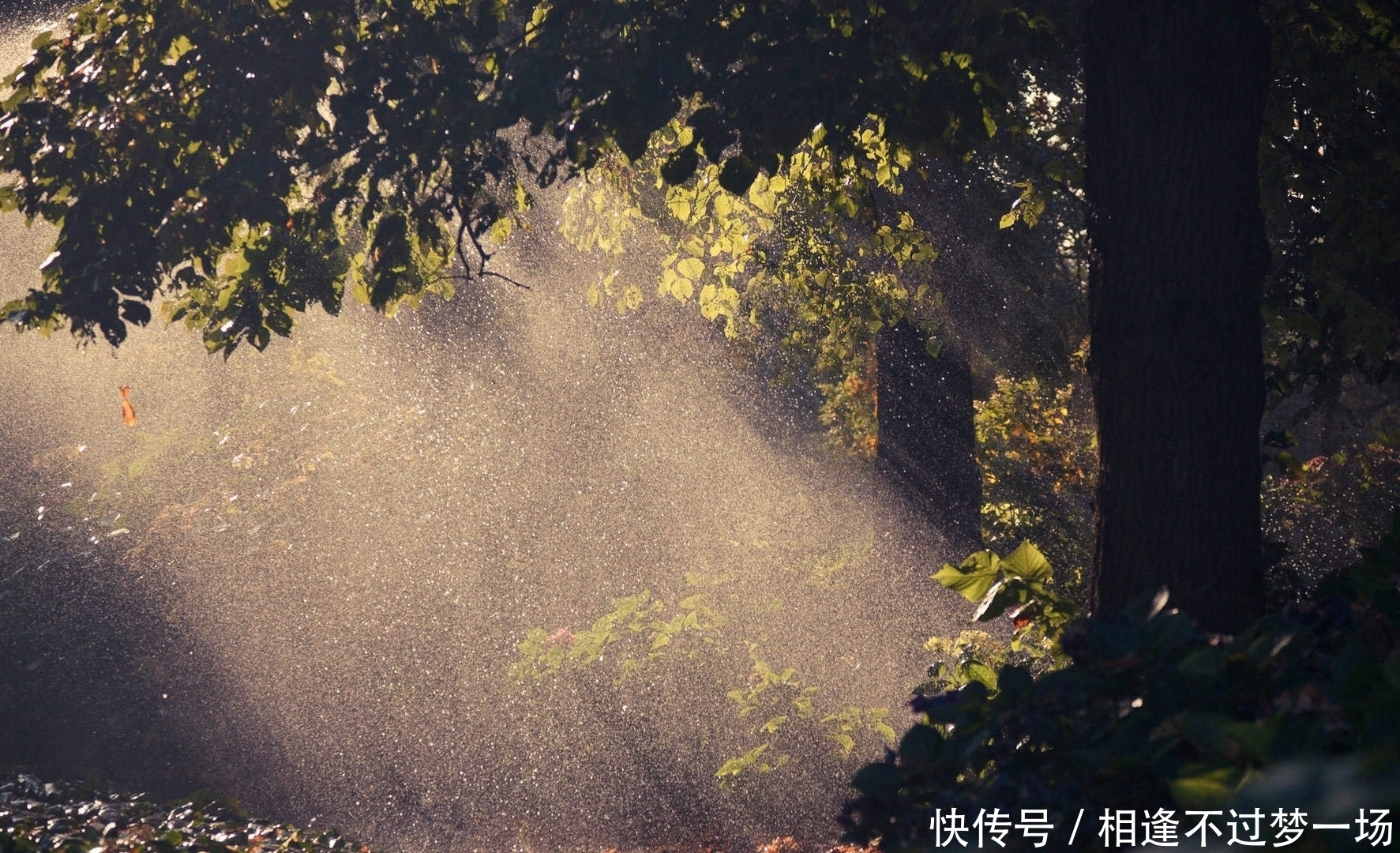 降雨 如果地球迎来一场持续10000年的大雨，对人类有什么影响？