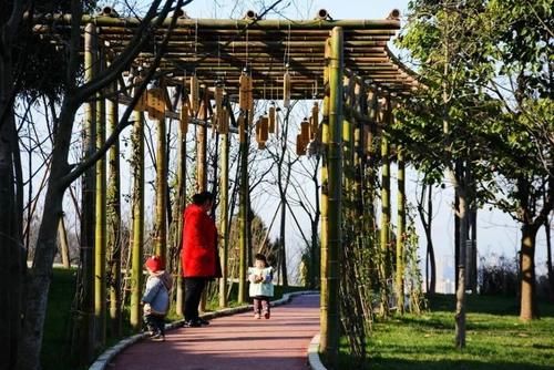 老年|自然丨仰天窝阳光健身步道升级！山顶湖泊等你来打卡~