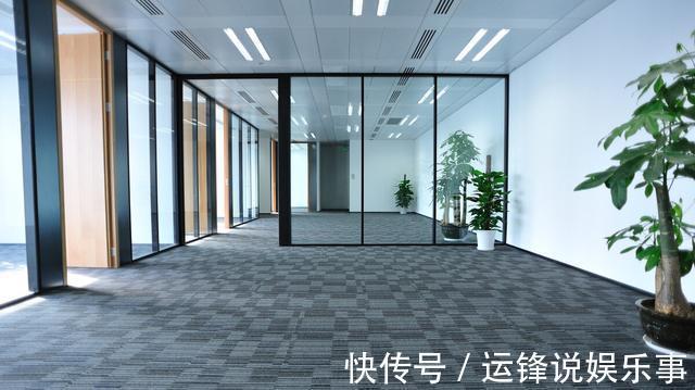 4种植物挺着“大肚子”,摆在客厅,不但寓意好,而且耐旱好养