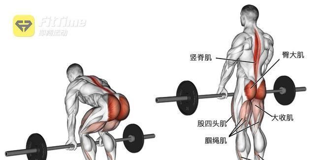 王牌|健身的“王牌动作”一些训练者对硬拉到底有多痴迷