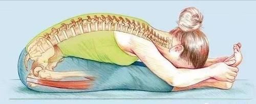 口令|练瑜伽，老师的那些专业口令，你真的理解到位了吗？