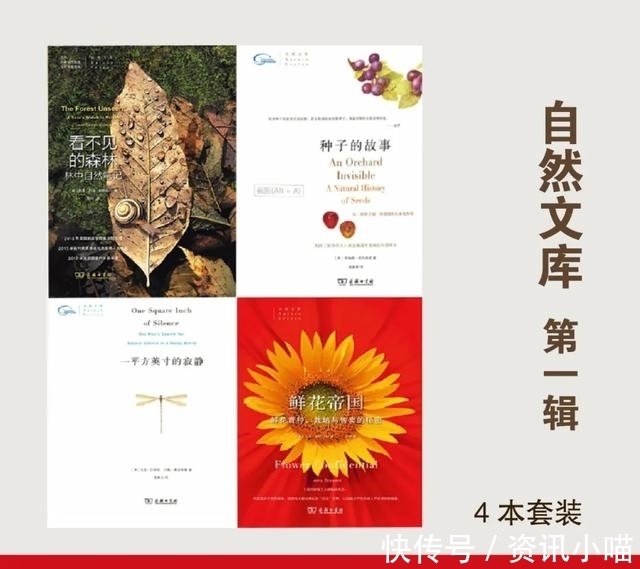 文化|历史、文化、传记……推荐几套内容丰富又精彩的人文社科好书