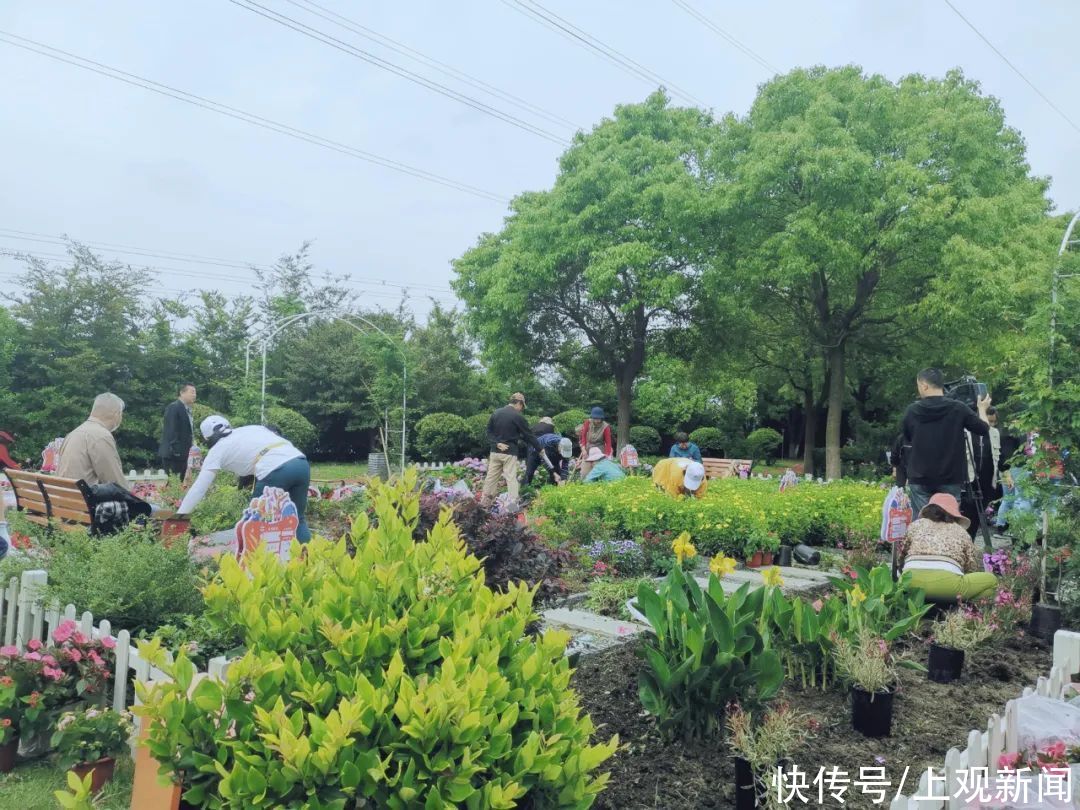 花园|从菜地式种植到花园式管理 睦邻花园与社区园艺师擦出美丽“花火”