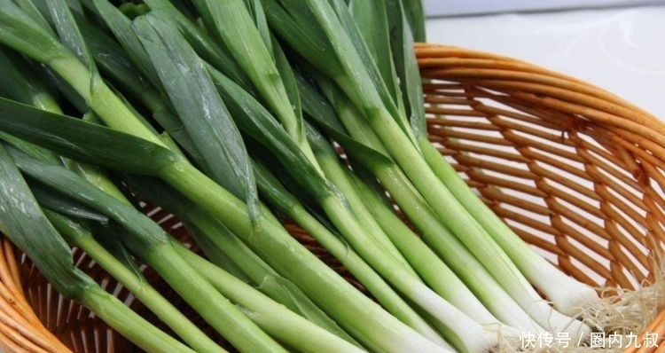 解馋|蒜苗5种最好吃的家庭做法,简单美味又解馋,看看你喜欢吃哪种?