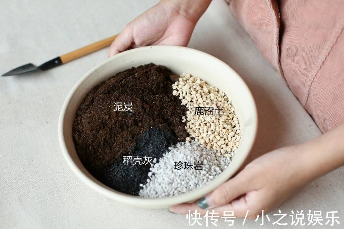 南酸北碱|不是什么土都能养花！30年老花农这样配土，网友发现细节有猫腻
