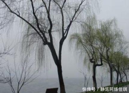 冬天|冬天的雨,最清冷的冬日诗词