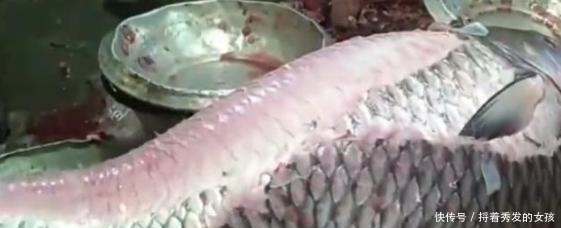 印度人|看看印度人如何吃鱼?20斤的草鱼,动刀第一步就让人大开眼界