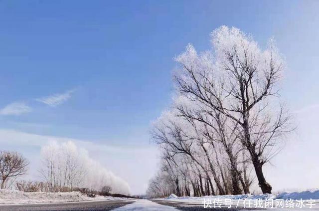 「网络中国节·春节」过年，你有哪些难以忘怀的瞬间