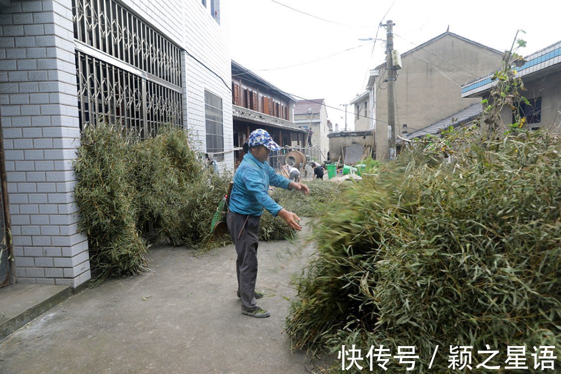 东亚研究所|偏僻山村郑堂岗，郑永年用扁担挑着行李，进入了北京大学