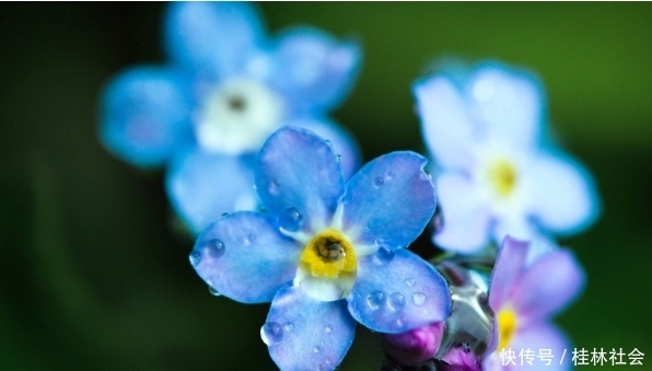 遇到小人不要怕,就学会这4招,再狡猾小人也不怕,让他服服帖帖