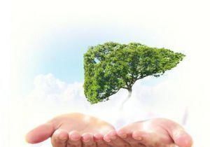 肝病|伤害肝脏“特别猛”的4种行为,尤其第2种,是很多男生的“最爱”