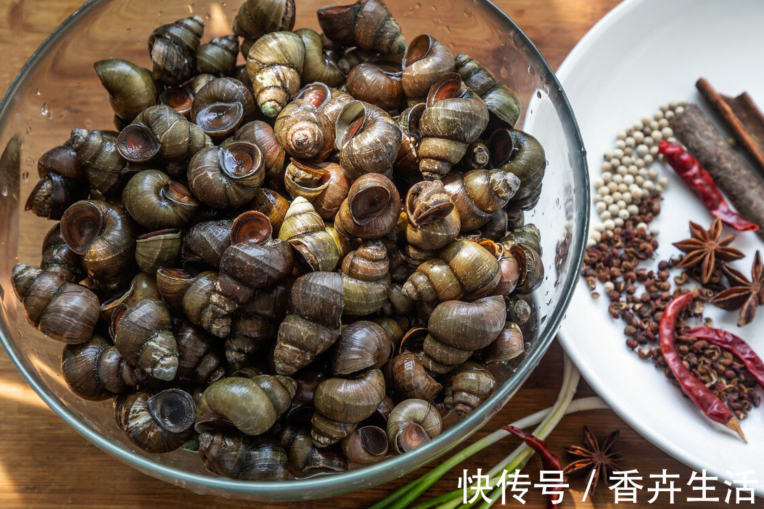 味料|清洗田螺,不要只会放盐,多加一味料,田螺狂吐沙,又快又彻底