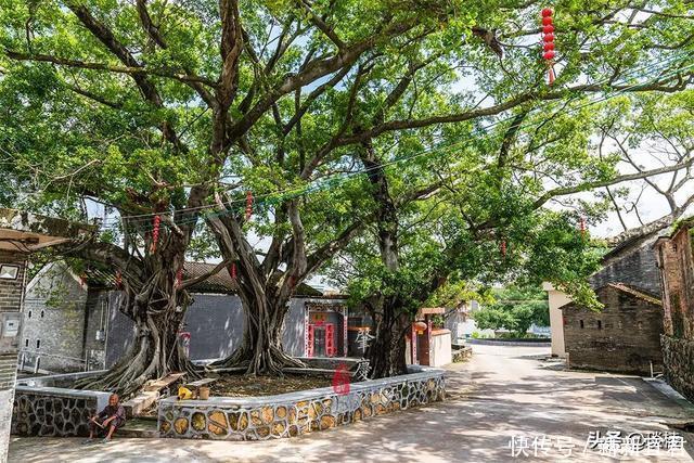 周庄|一个玄机重重的“八卦村”，竟用屋墙来做村庄围墙，小偷都会迷路