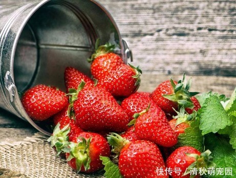 面包|吃不完的草莓怎么办做成草莓酱,方法教给你,早餐面包好伴侣