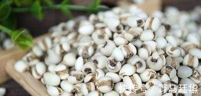 食物|想长寿全靠吃,以下食物不可少,提高免疫力,身体棒棒哒!