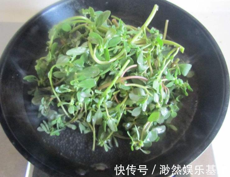 野草|天然胰岛素被找到,隔几天吃一次,降血糖血脂,可惜很多人当野草