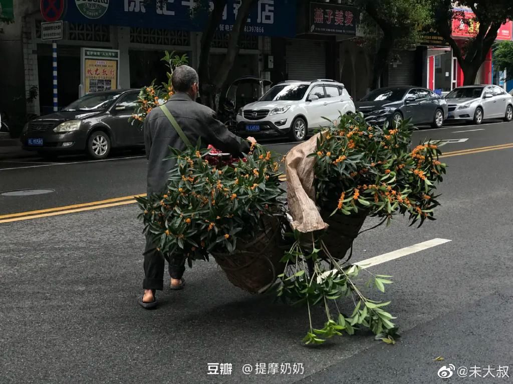 闪光|生活中的平凡和不易 普通人的闪光与不屈