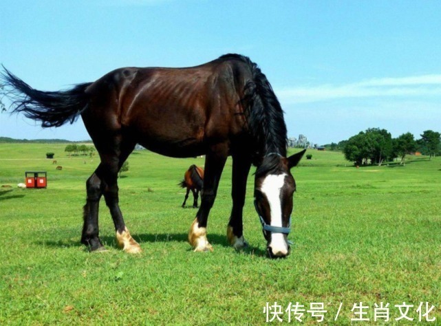 生肖|农历七月，喜从天降，霉运全无，3生肖发财有望，离成功不远！