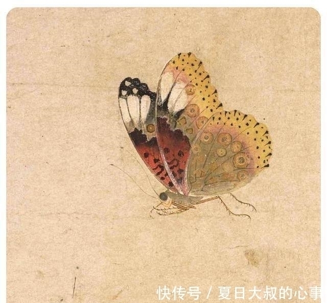 花鸟画$与宋徽宗齐名的北宋画家,擅长写生,作品自产自销,世所罕传