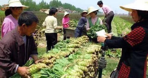 失眠的“救星”出现了，睡前吃一点，安神缓疲
