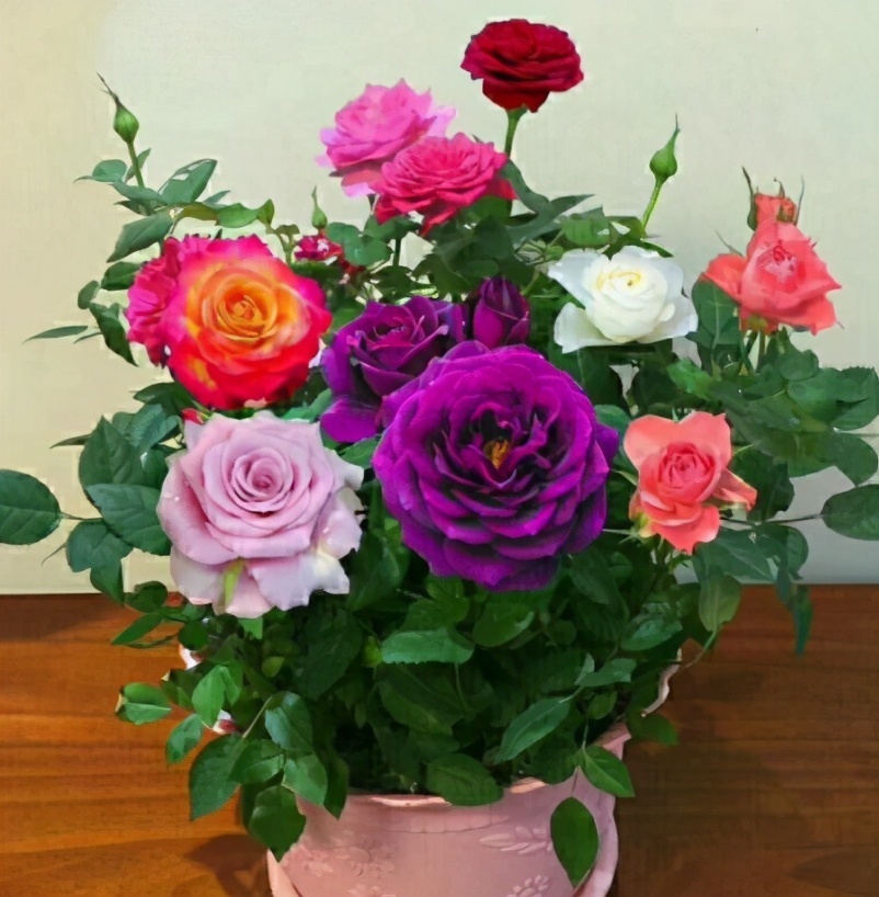 无论你多喜欢养花，都不要碰“3种花”，这都是养花高手被坑过的