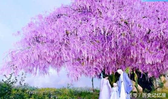 滚滚|《三生三世枕上书》番外二十七,我们永远在一起,不会再分开