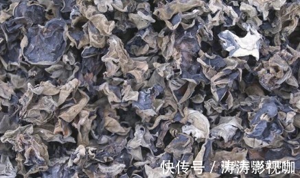 補腎|食療真能補“陽氣”這些食物或許有幫助