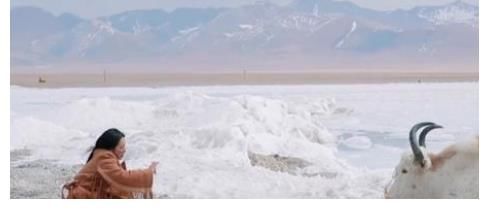 蒋勤勤|《妻子5》收官在即，张馨月成长最大，收获好评最多的却是她