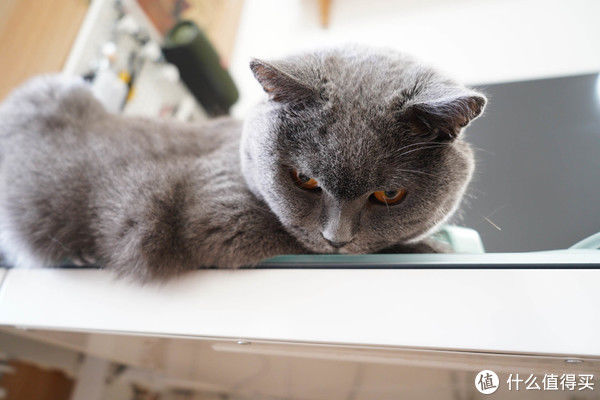 线缆|桌面整理大作战！低成本改造书桌，这些收纳好物你值得拥有！