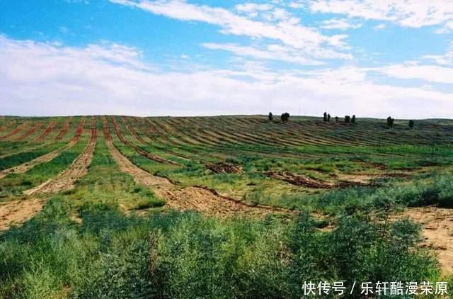 中国|中国首个将消失的沙漠,经过几代人的努力,已有八成变绿洲