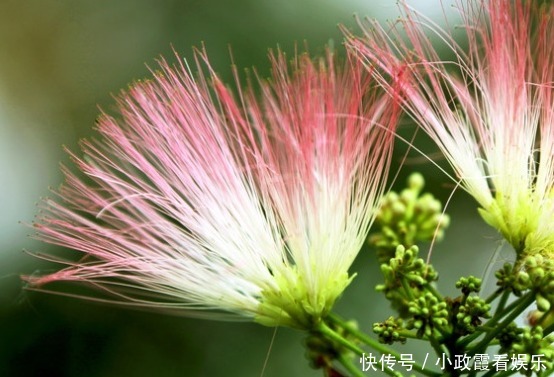 出门|到了11月，4属相好运袭来，财运旺盛，出门见喜，生活幸福美满