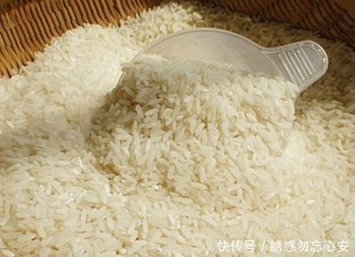 别人泡的酒米,诱鱼效果就是比你的强,那是把控了几个细节!