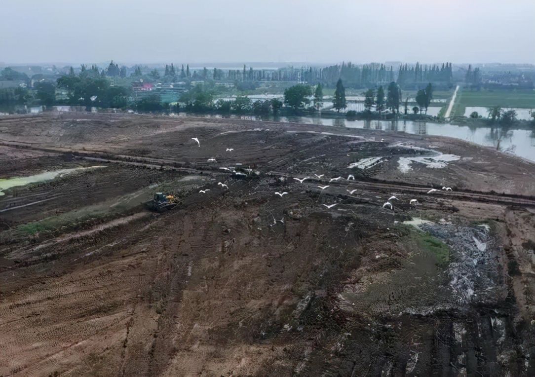 德州市人民政府|德州首次土地征收成片开发方案获批，拟征土地涉24村，3千余亩