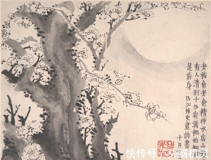 冰雪$冰雪林中著此身,不同桃李混芳尘——梅花风骨,一枝独开天下春