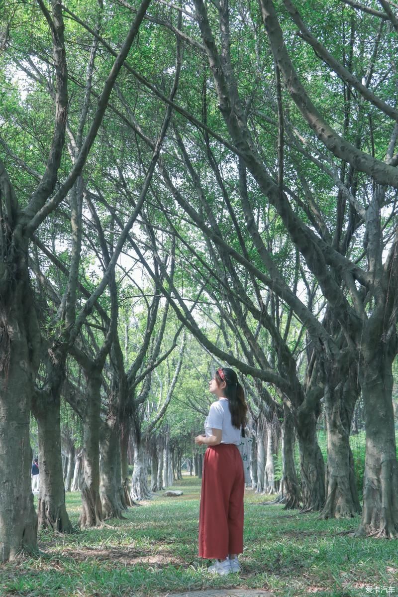 村里|古村里的顺德味