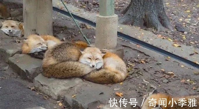 错觉！10个让人产生错觉的照片，被插画家涂抹几笔后，才能看懂