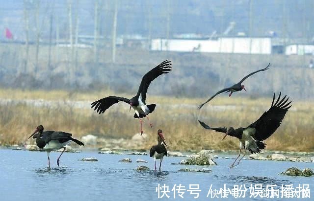 名篇|李商隐最凄美一首诗,道尽爱情的坚贞,感情真挚,堪称千古名篇