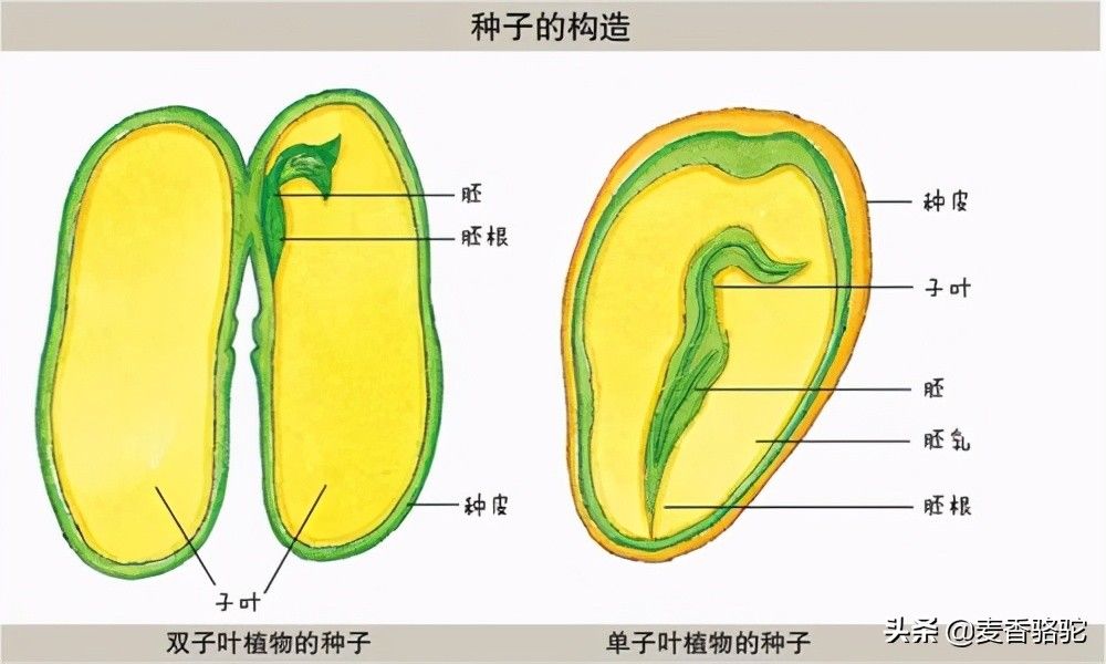 汪苏泷|《五十公里桃花坞》：“每人每天650元”？自行脑补仇富可还行