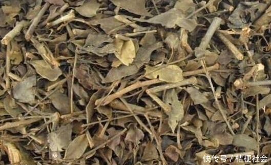 高血压的对手找到了，父母每天喝一杯，血压或许悄悄降下来