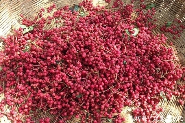 温热性|老人常说猪肉忌花椒,羊肉忌大料很多人不懂,终于有答案了!