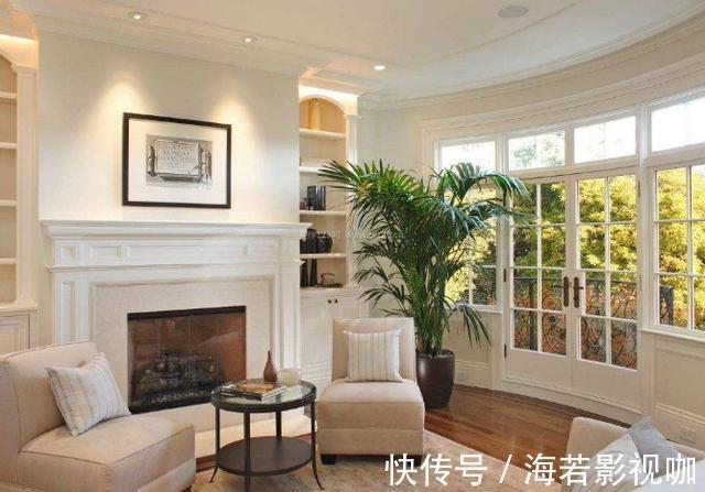 植物|家里客厅适合养什么花此3款对身体好,还能纳福又聚财