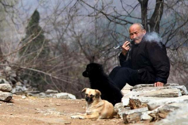 老话“可怜之人,必有可恨之处”,其实下一句更经典,却少有人知