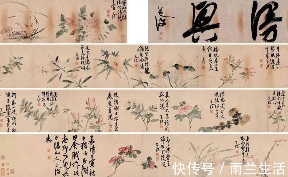 陈淳@与徐渭齐名,这个富二代的一花一世界!