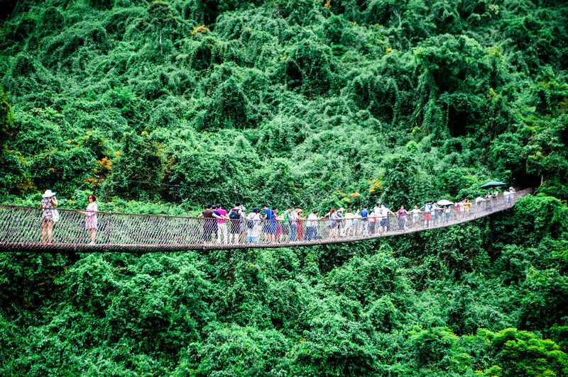 天堂|三亚藏了个天堂般的森林公园，拥有超浪漫的雨林景观，你想看吗？